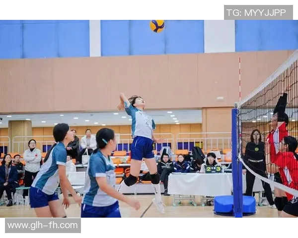 西安排球队战术变革引发热议排球界新趋势探讨与分析