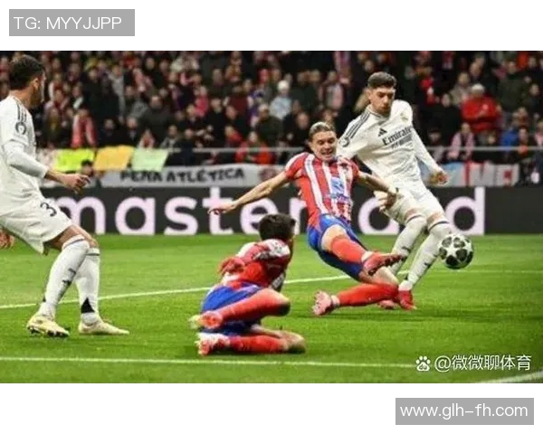 西甲与德甲参赛球队数量及赛程结构对比