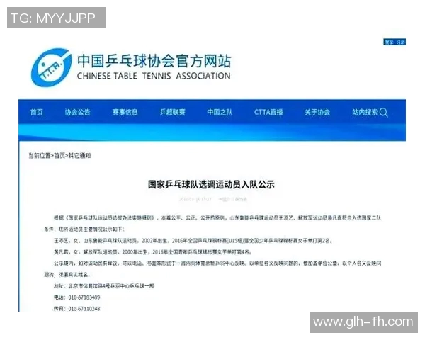 南京乒乓球队的节奏与发展探索聚焦乒乓球运动的未来之路